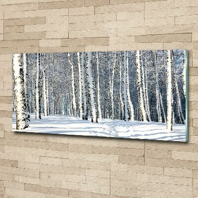 Bild auf Acrylglas Wald im Winter
