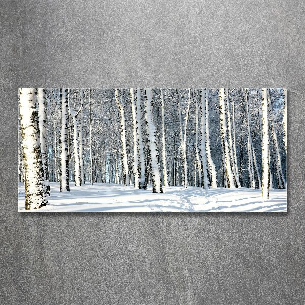 Bild auf Acrylglas Wald im Winter