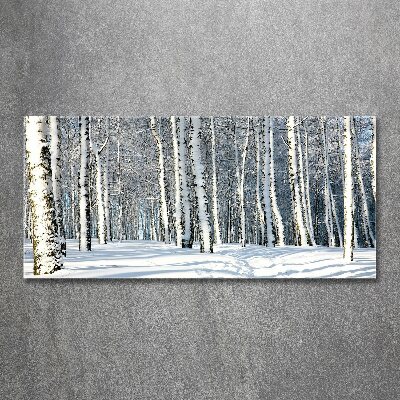 Bild auf Acrylglas Wald im Winter