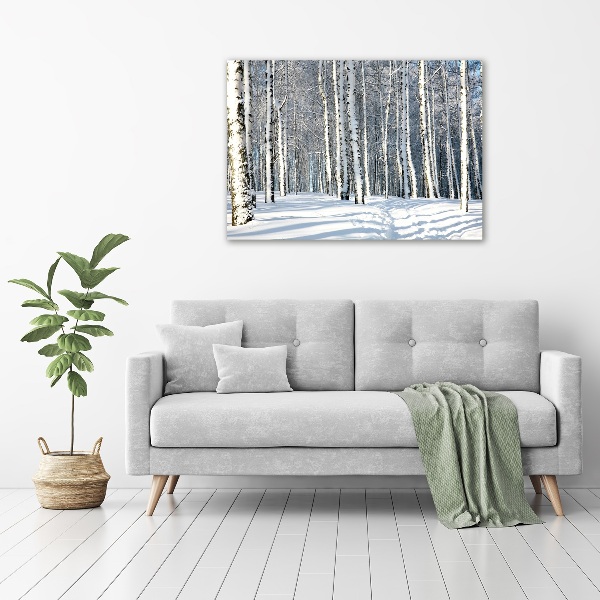 Bild auf Acrylglas Wald im Winter