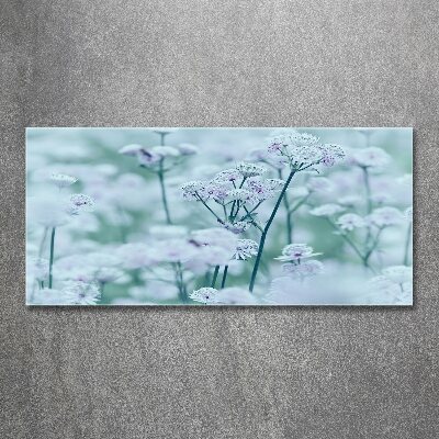 Acrylbild Fotodruck Großer Mantelkraut