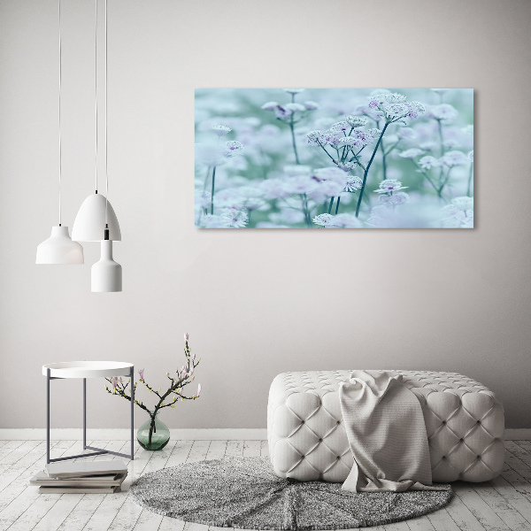 Acrylbild Fotodruck Großer Mantelkraut