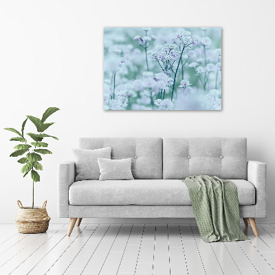 Acrylbild Fotodruck Großer Mantelkraut