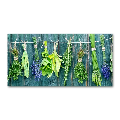 Acrylbild Fotodruck Kräuter an einer Schnur