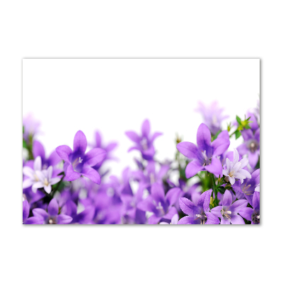 Acrylglas-Druck Lila Glöckchen