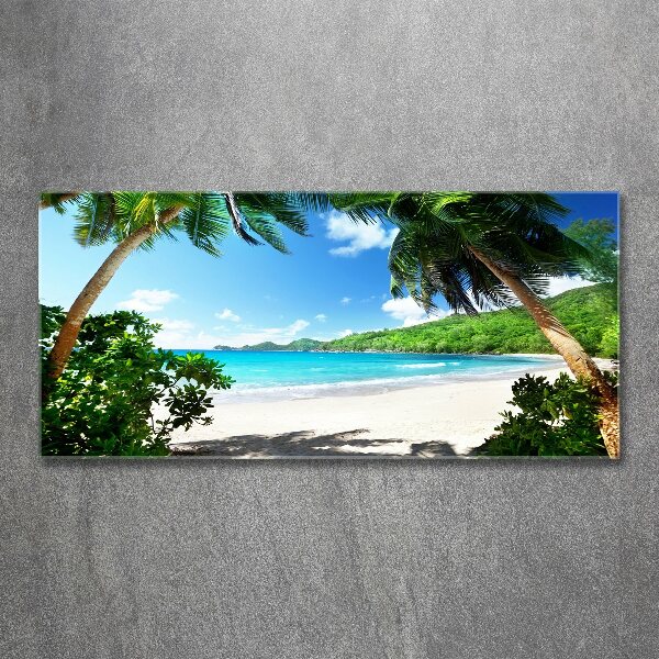Acrylbild Fotodruck Strand der Seychellen