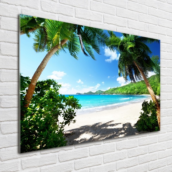 Acrylbild Fotodruck Strand der Seychellen