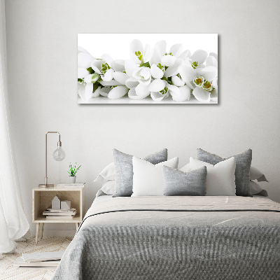 Foto auf Acryl Schneeglöckchen