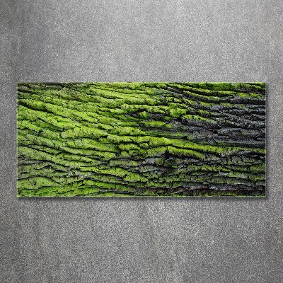 Foto auf Acryl Baumrinde