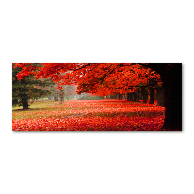 Acrylbild Fotodruck Bäume im Herbst