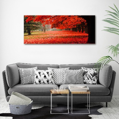Acrylbild Fotodruck Bäume im Herbst