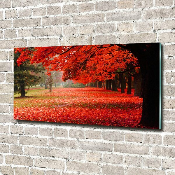 Acrylbild Fotodruck Bäume im Herbst