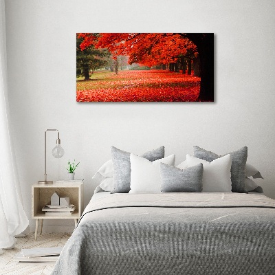 Acrylbild Fotodruck Bäume im Herbst