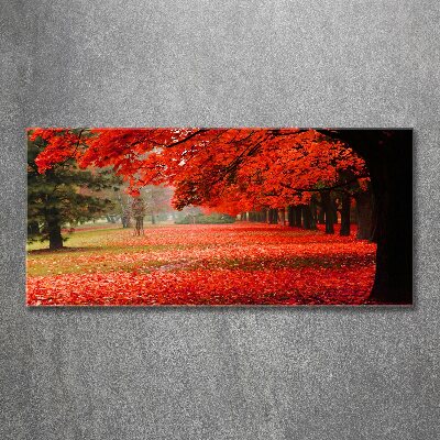 Acrylbild Fotodruck Bäume im Herbst