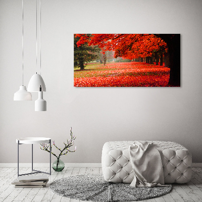 Acrylbild Fotodruck Bäume im Herbst