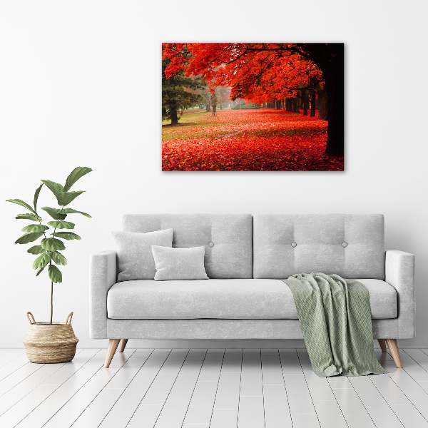 Acrylbild Fotodruck Bäume im Herbst