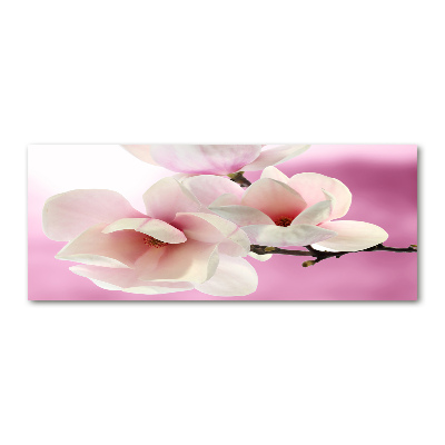 Acrylglas-Druck Magnolie