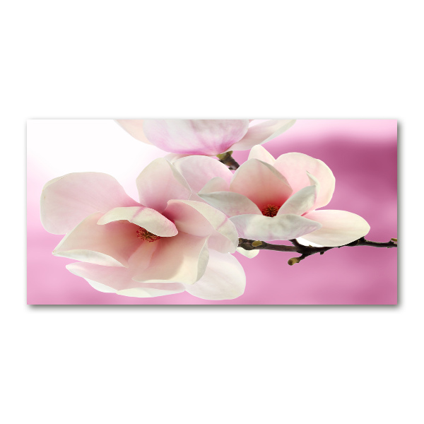 Acrylglas-Druck Magnolie