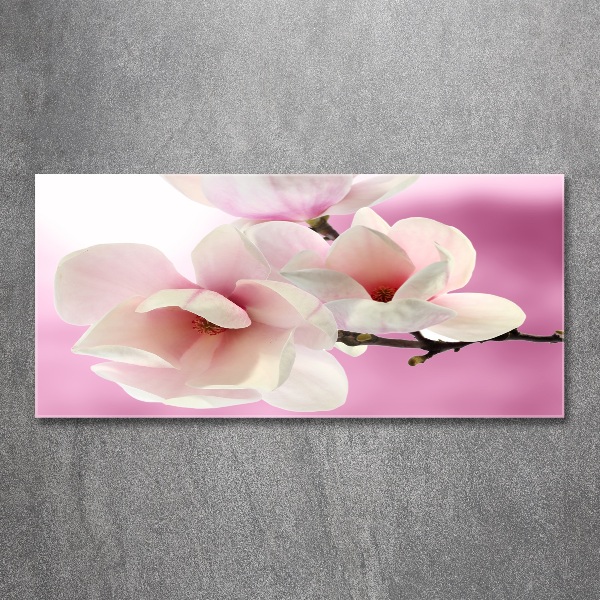 Acrylglas-Druck Magnolie