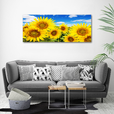 Bild auf Acrylglas Sonnenblumen