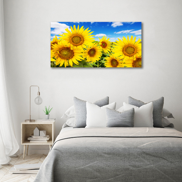 Bild auf Acrylglas Sonnenblumen