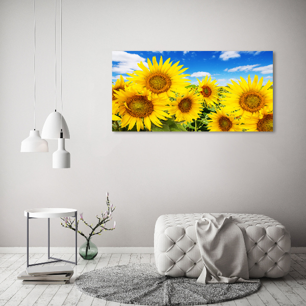 Bild auf Acrylglas Sonnenblumen
