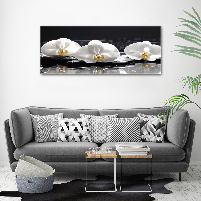 Acrylbild Fotodruck Orchidee