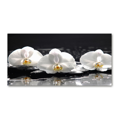 Acrylbild Fotodruck Orchidee