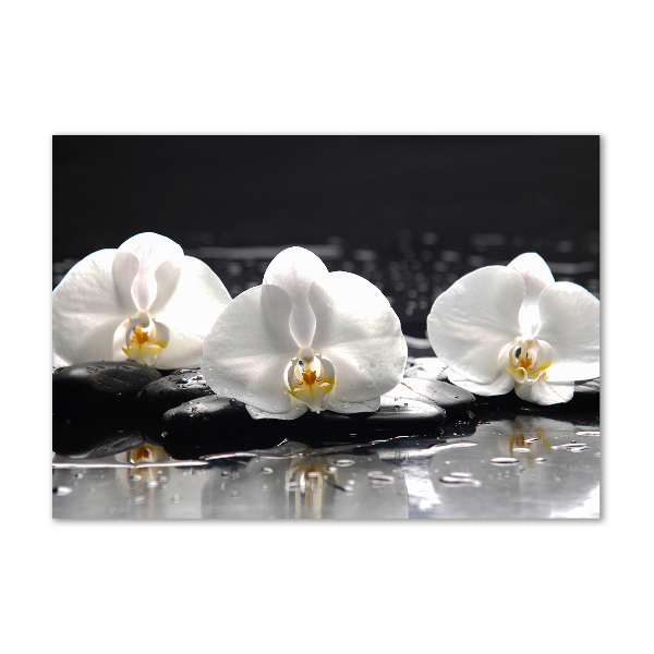 Acrylbild Fotodruck Orchidee