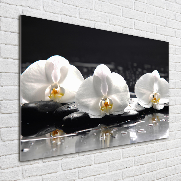 Acrylbild Fotodruck Orchidee