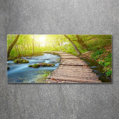 Acrylbild Fotodruck Pfad im Wald