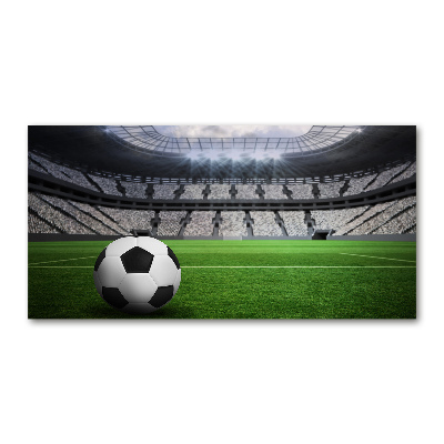Foto auf Acryl Ball im Stadion