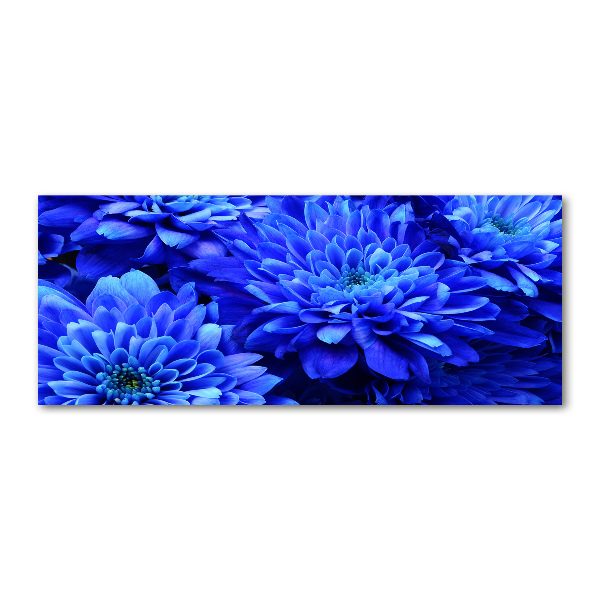 Acrylglas-Druck Blaue Aster