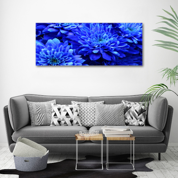 Acrylglas-Druck Blaue Aster