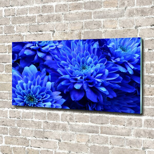 Acrylglas-Druck Blaue Aster
