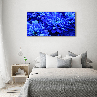 Acrylglas-Druck Blaue Aster