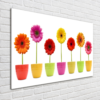 Foto auf Acryl Bunte Gerbera