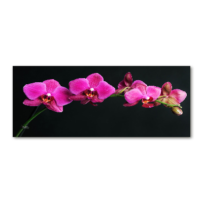 Acrylbild Fotodruck Orchidee