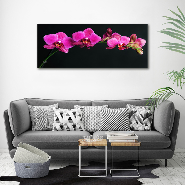 Acrylbild Fotodruck Orchidee