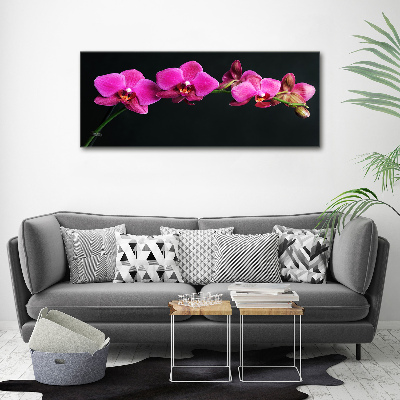Acrylbild Fotodruck Orchidee