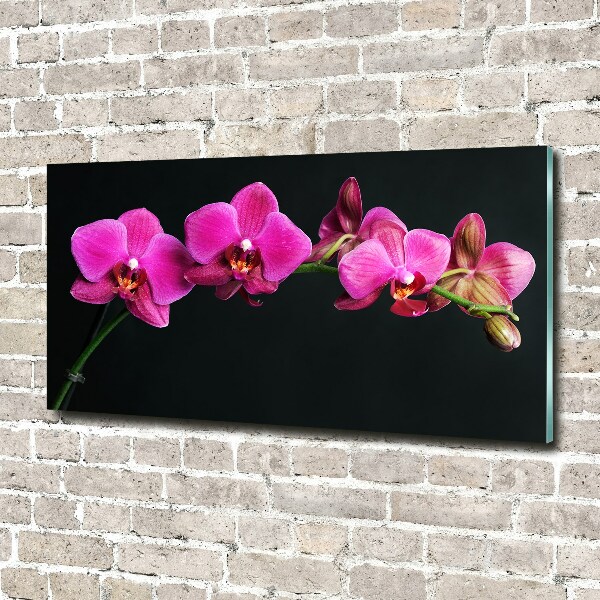 Acrylbild Fotodruck Orchidee