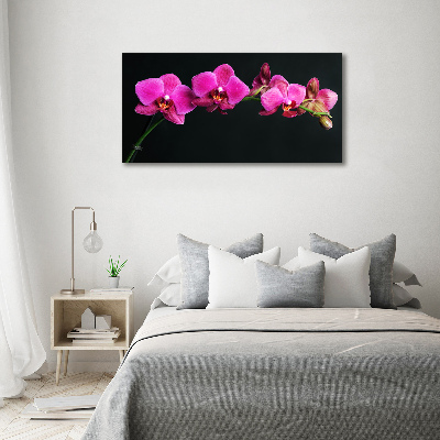 Acrylbild Fotodruck Orchidee