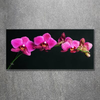 Acrylbild Fotodruck Orchidee