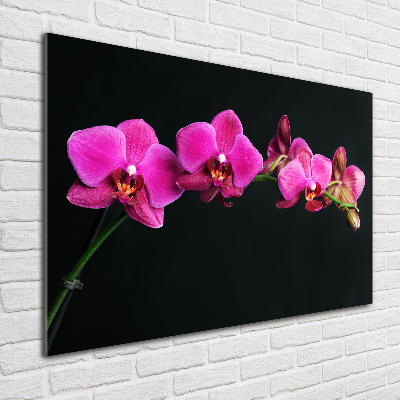 Acrylbild Fotodruck Orchidee