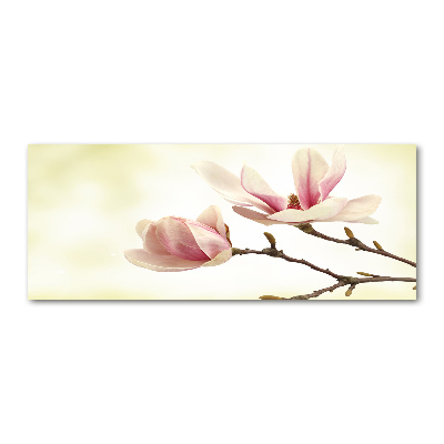 Acrylglas-Druck Magnolie