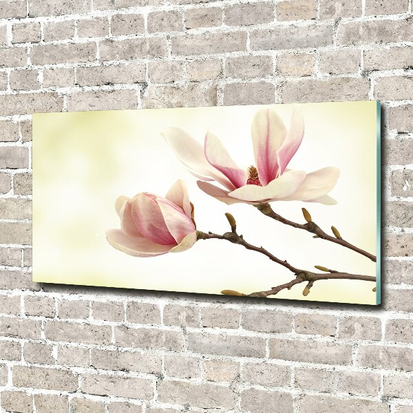 Acrylglas-Druck Magnolie