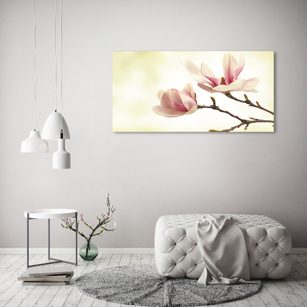 Acrylglas-Druck Magnolie