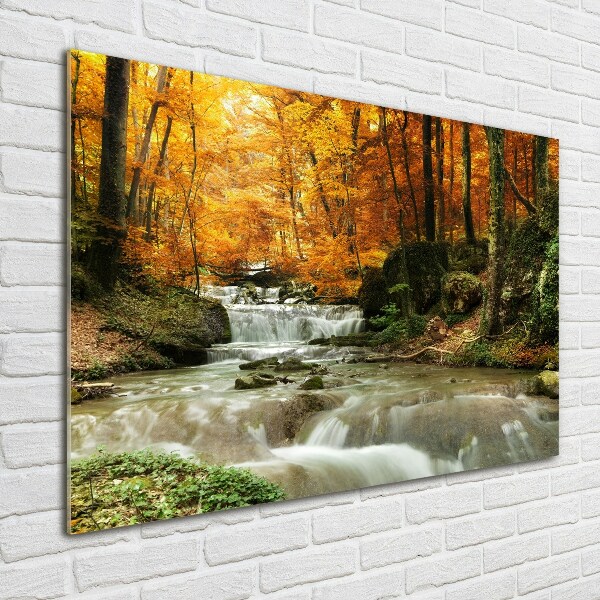 Bild auf Acrylglas Wasserfall im Wald
