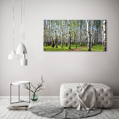 Foto auf Acryl Birkenwald