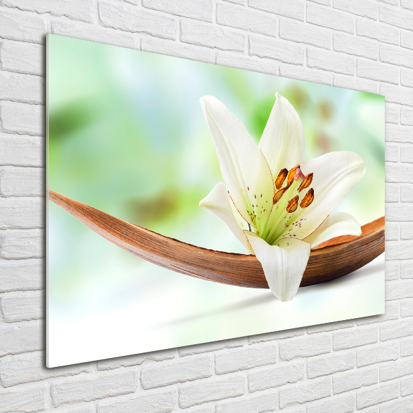 Acrylbild Fotodruck Lilie